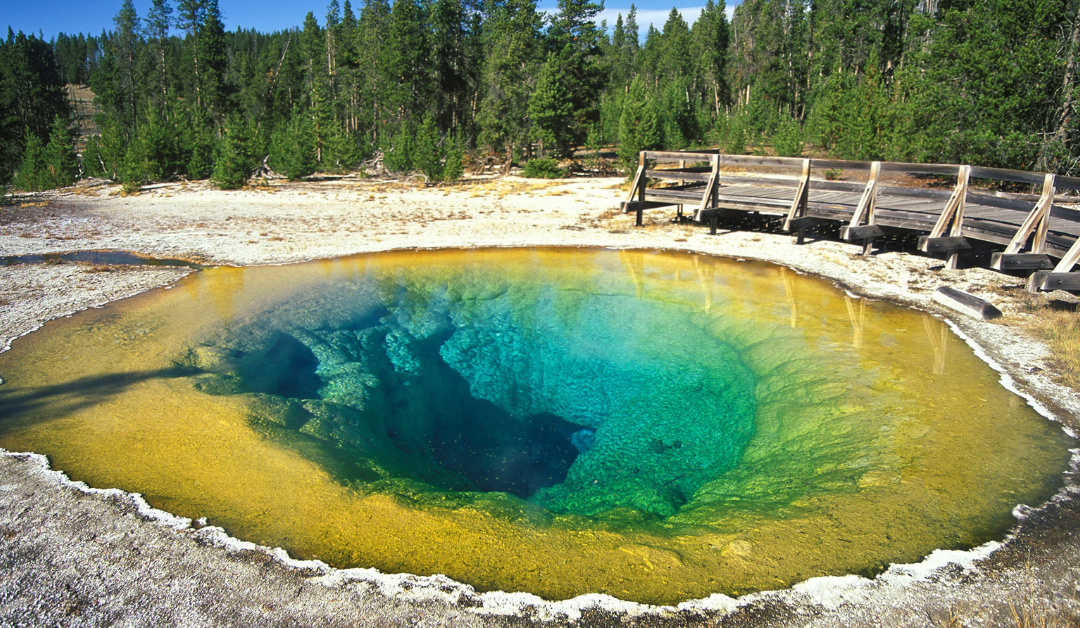 Ancient Lake Sediment Chemicals Lead To Groundbreaking Discovery At Yellowstone National Park