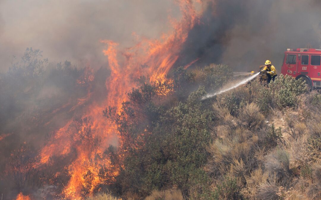 Visual Evidence Suggests NYE Wildfire May Be Cause Of Palisades Fire