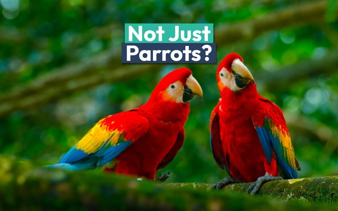 Like Parrots, This Surprising Animal Also Mimics Humans (& It’s 100% Hilarious)