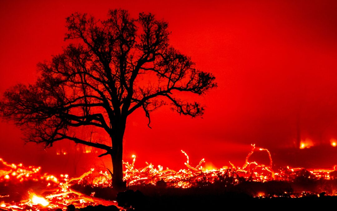 “Monster Storm” Spawns Hundreds of Wildfires Across Oklahoma Sparking Evacuation Orders in 44 Counties