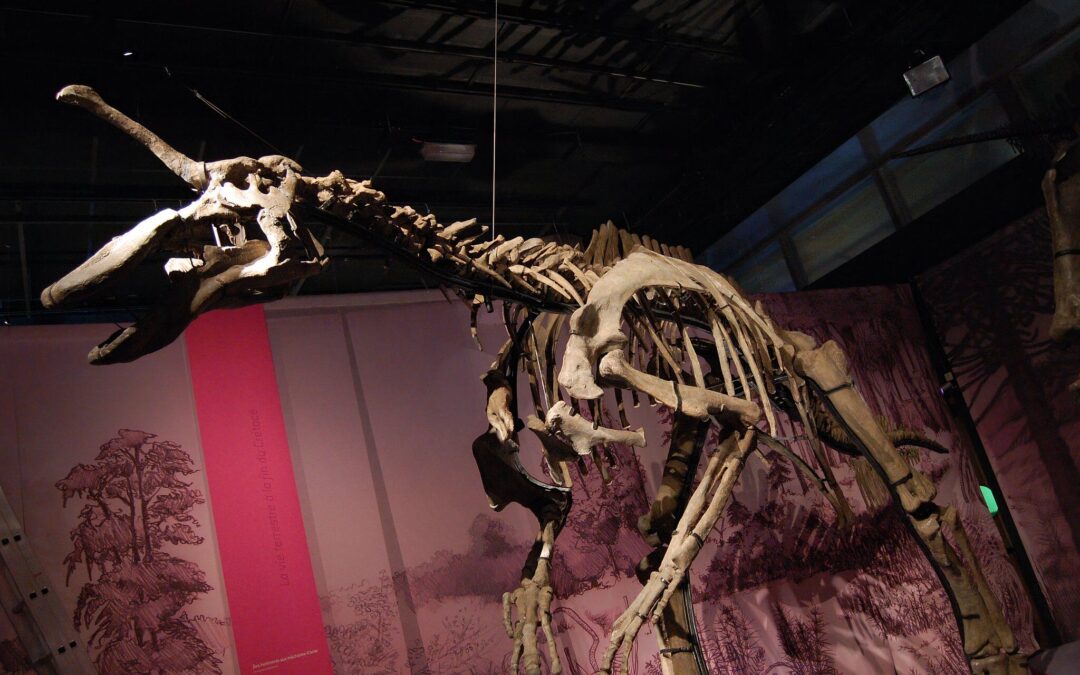 This “Unicorn” Was The Weirdest Dinosaur Species