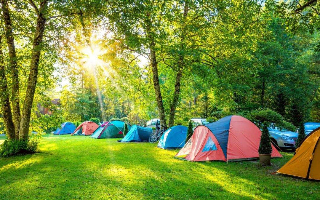 What Is The Difference Between ‘Walk-Up’ And ‘Walk-In’ Campsites?