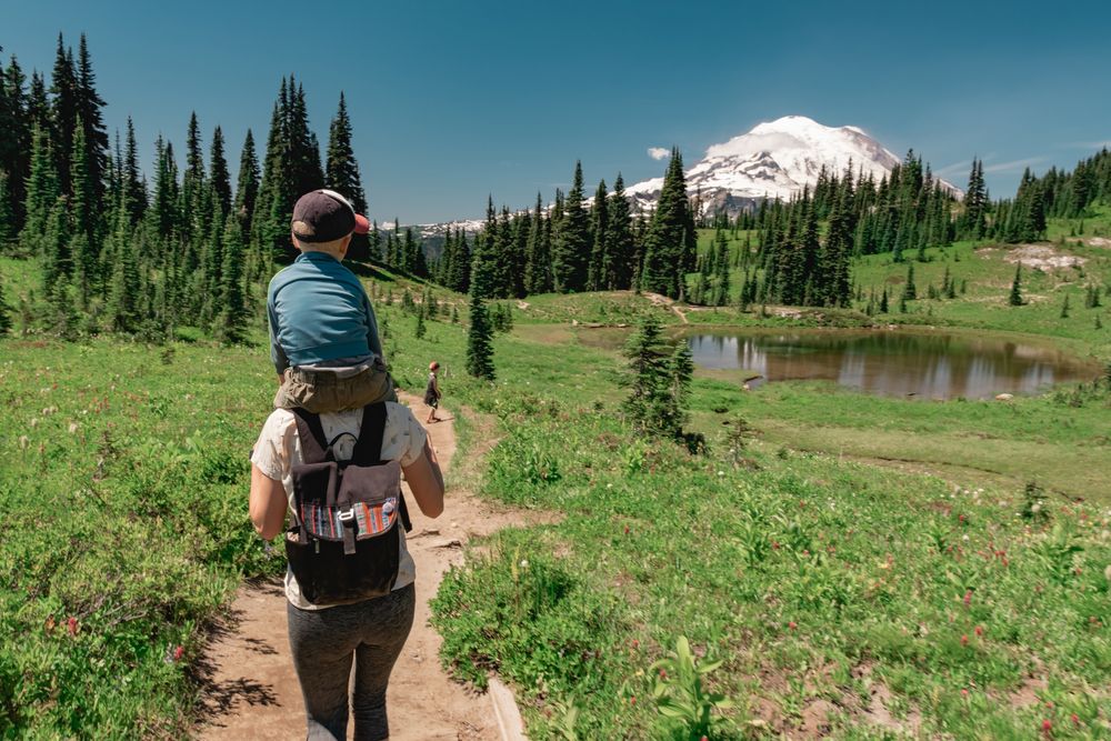 Popular U.S. National Park Warns Visitors Ignoring Orange Bamboo Poles Could Cost Their Lives
