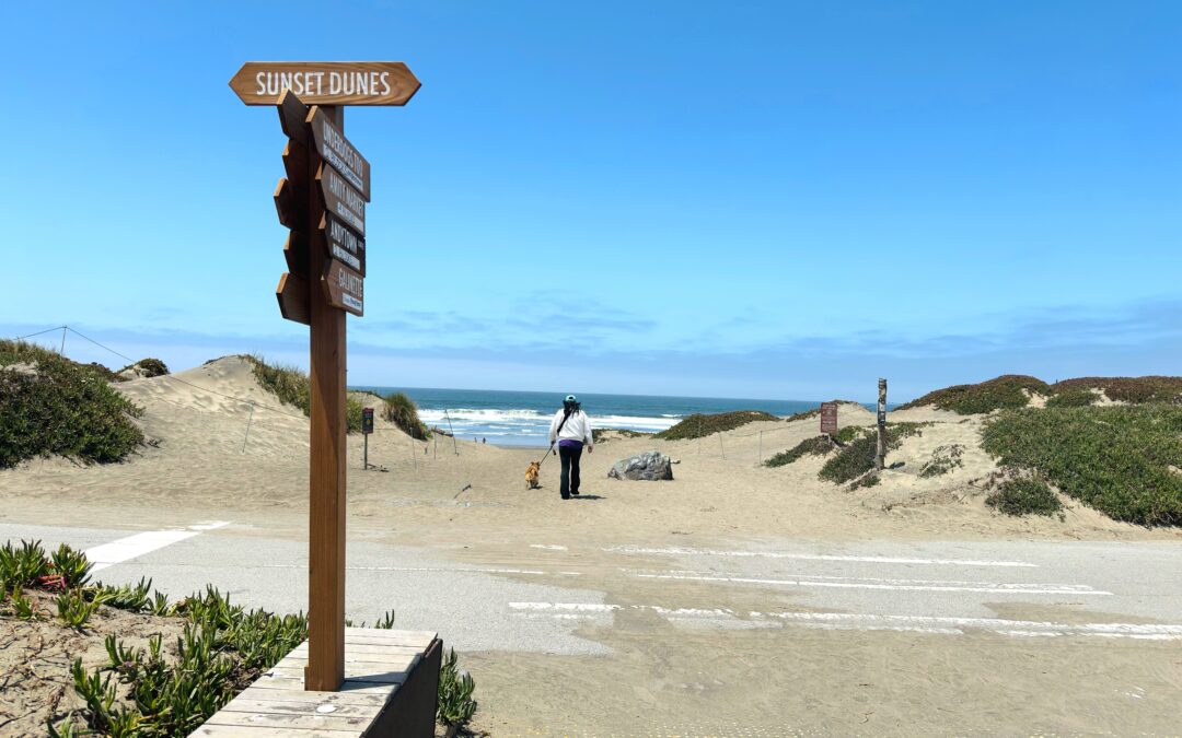 Why San Francisco’s Newest Park Has Locals Furious