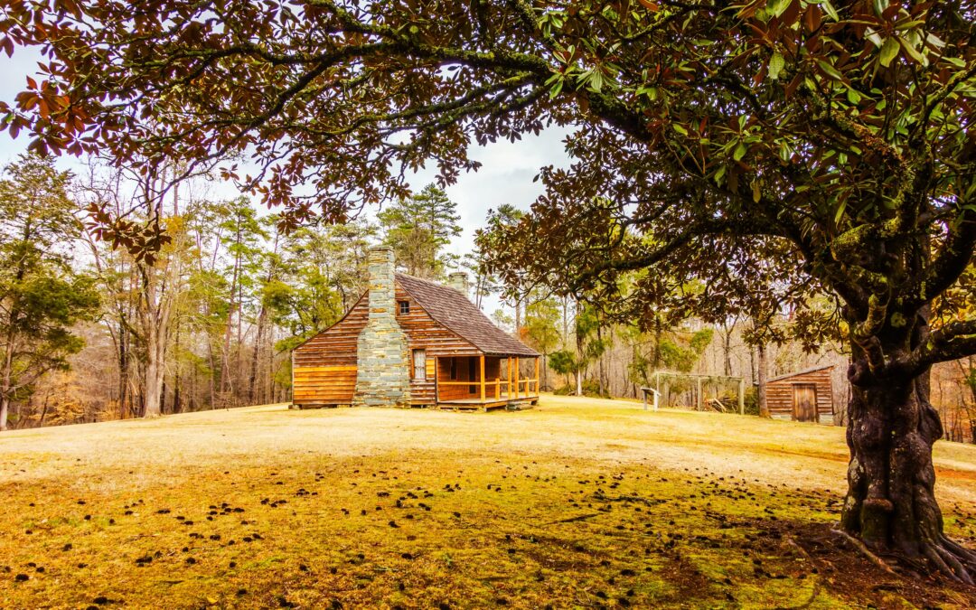 Visit North Carolina’s Most Underrated National Forest Instead