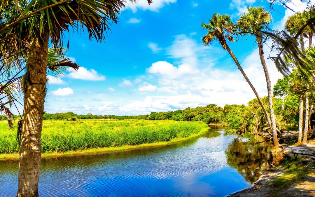 Florida’s Most Underrated State Park Is Better Than Everglades National Park